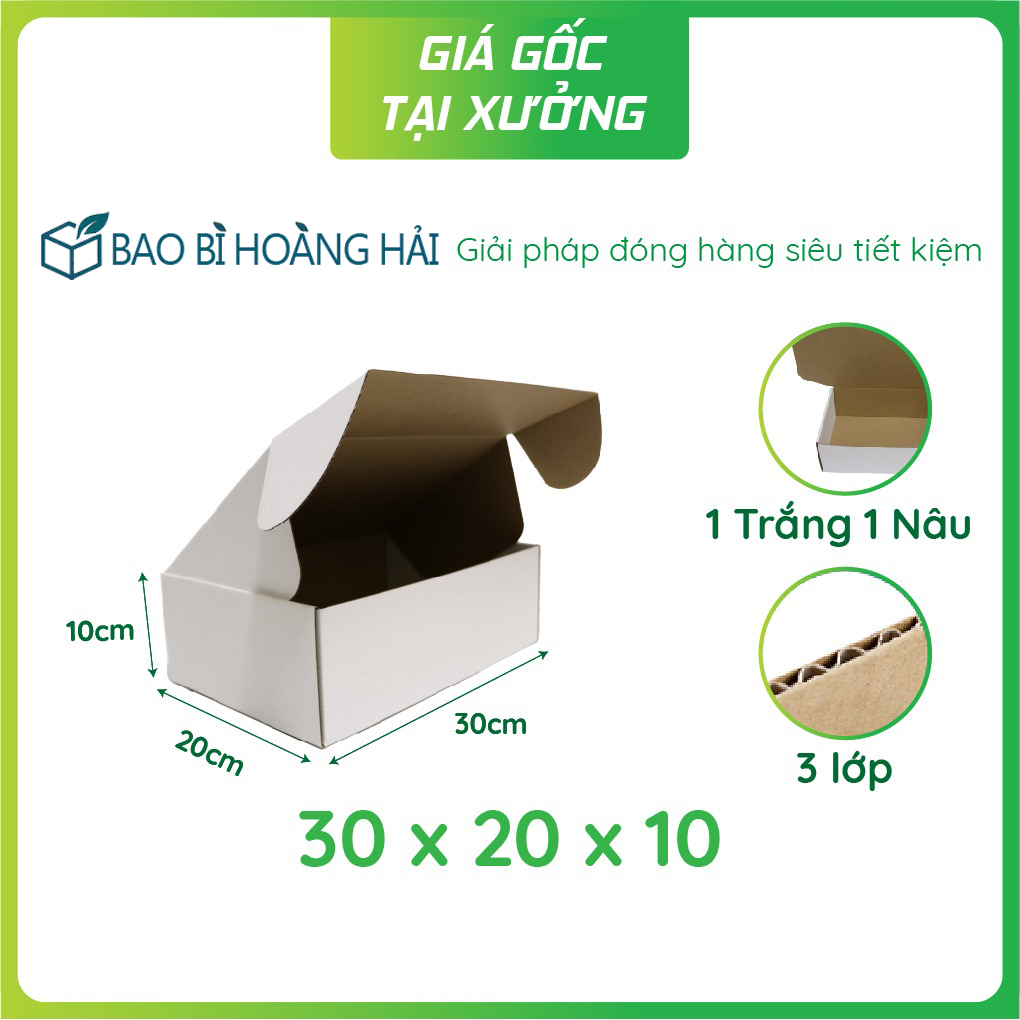 Hộp carton nắp gài 30x20x10 (Sao chép)